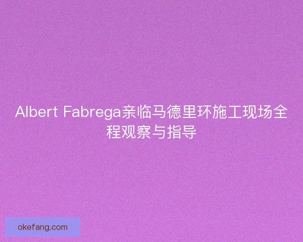 Albert Fabrega亲临马德里环施工现场全程观察与指导