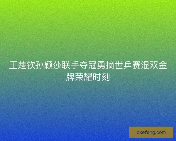 王楚钦孙颖莎联手夺冠勇摘世乒赛混双金牌荣耀时刻