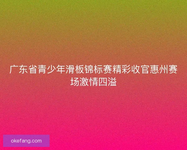 广东省青少年滑板锦标赛精彩收官惠州赛场激情四溢