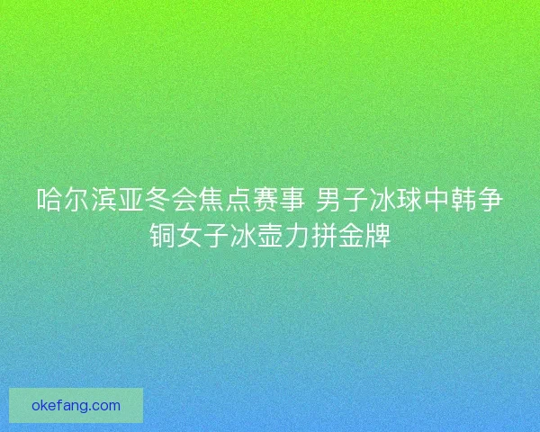 哈尔滨亚冬会焦点赛事 男子冰球中韩争铜女子冰壶力拼金牌