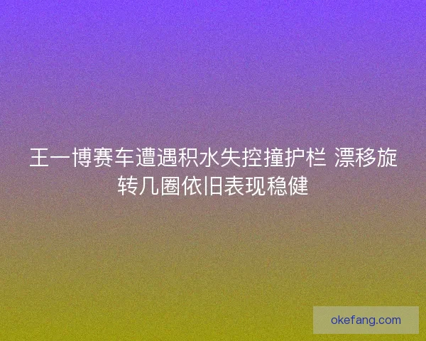 王一博赛车遭遇积水失控撞护栏 漂移旋转几圈依旧表现稳健
